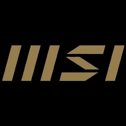 MSI